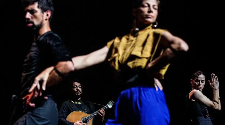 © José Caldeira