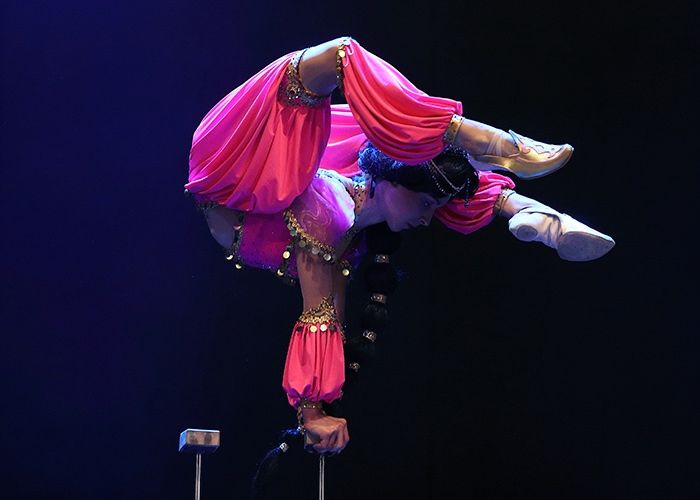 Aladdin Circus Show