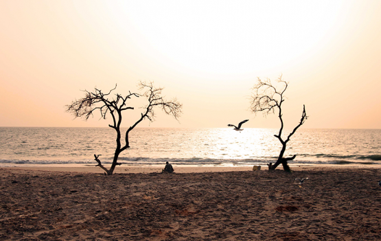© Adama Diop