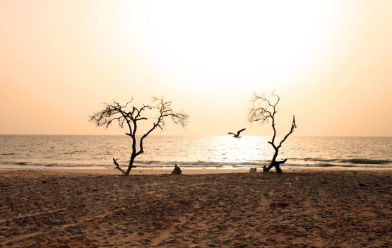 © Adama Diop