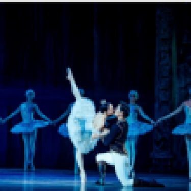 belle-au-bois-6399d67d14ef4927216490.png